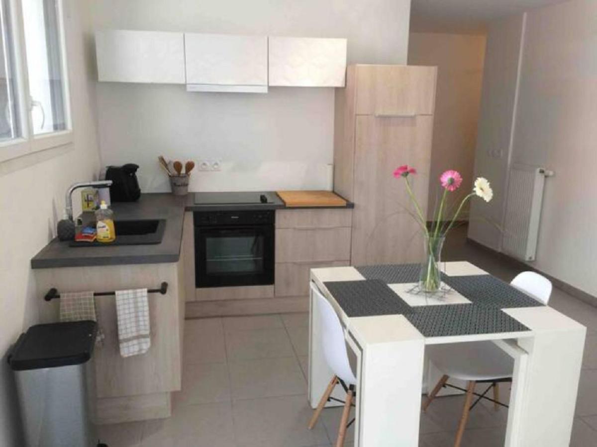 Sainte, 3Etoiles Terrasse Proche Du Centreville, Calme 안시 외부 사진